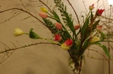 少し暖かくなったかな?_d0139350_2202877.jpg