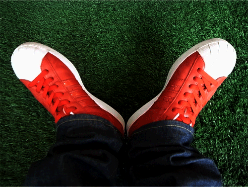 f0133752_195567.gif