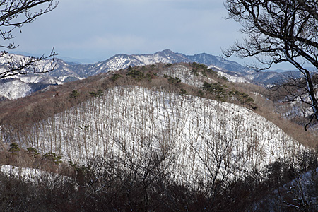 快晴の芦生で雪原と霧氷を満喫_e0113053_12481618.jpg