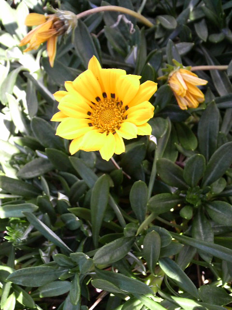c0147261_12154835.jpg