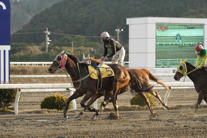 2009年1月31日（土） 高知競馬 11R 一発逆転 ファイナルレース_a0077663_7593529.jpg