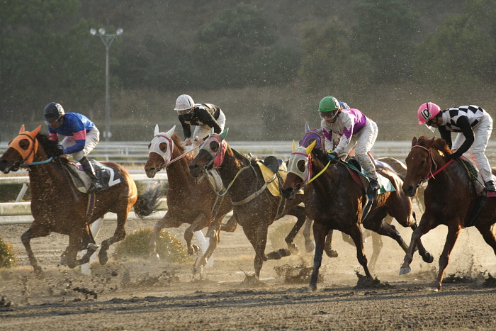 2009年1月31日（土） 高知競馬 11R 一発逆転 ファイナルレース_a0077663_759817.jpg