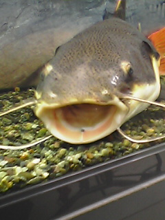 a0091865_1472848.jpg