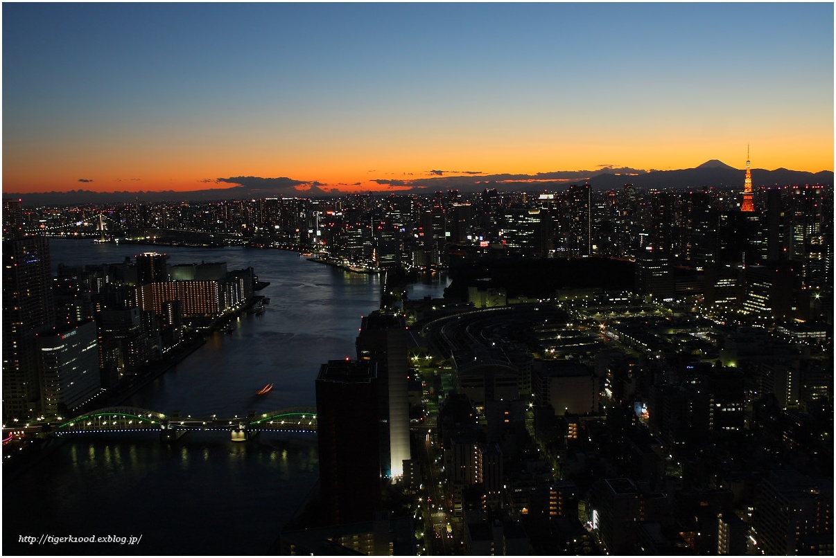 Mt．Fuji ＆ Tokyo．Tower_b0116272_23155639.jpg