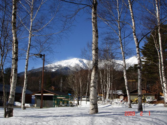 f0124378_2110068.jpg