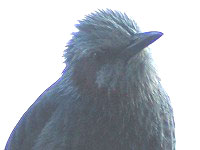 c0047589_07462.jpg