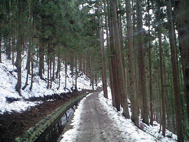 e0034994_10521793.jpg