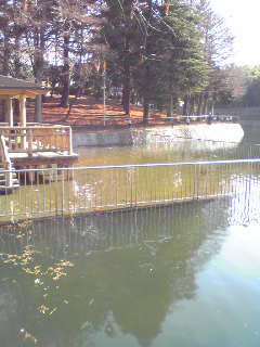 c0123400_9242929.jpg