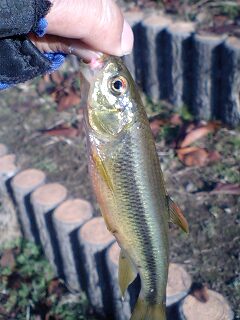 d0004101_1631890.jpg