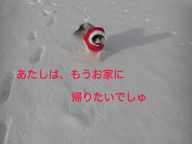 e0050801_284985.gif