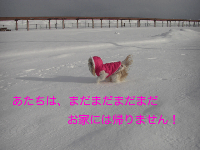 e0050801_292446.gif