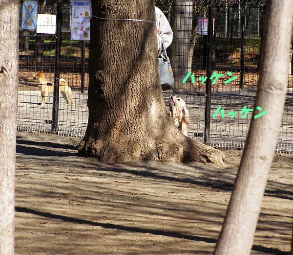 ふつうな日曜日_b0067012_158186.jpg