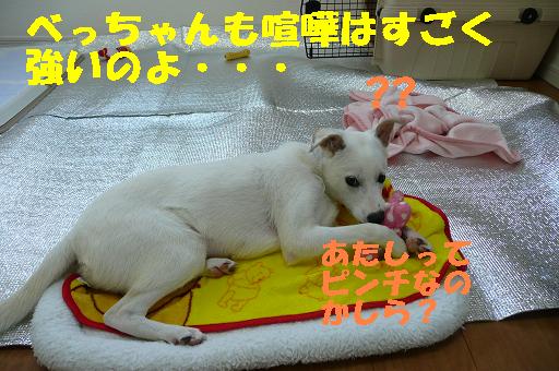 f0121712_1648639.jpg