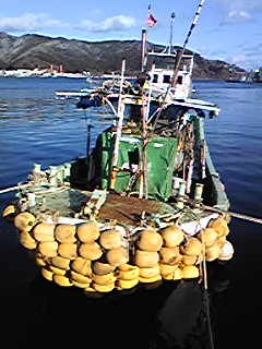 b0007213_1283920.jpg
