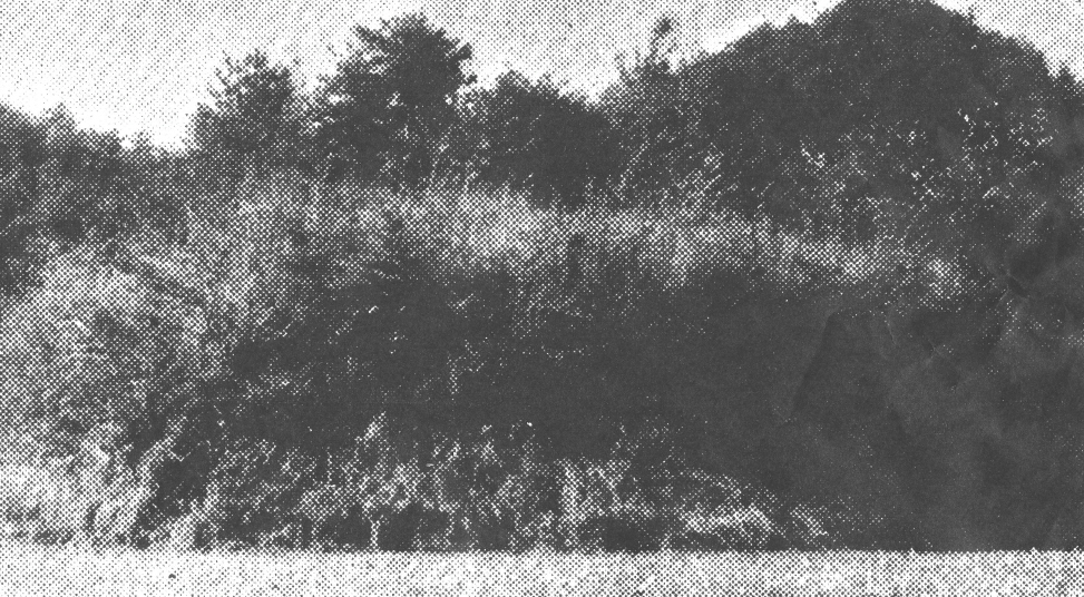 e0125014_161024.jpg
