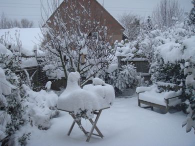 雪、降りました♪_e0114020_22182559.jpg