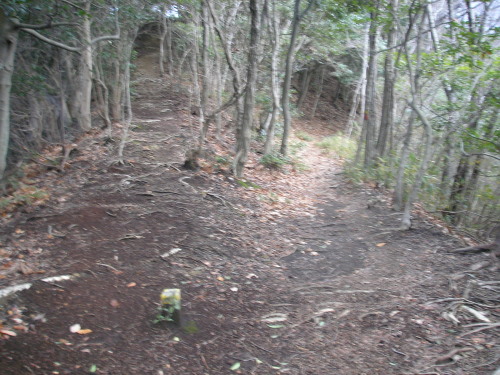 a0048823_1052541.jpg