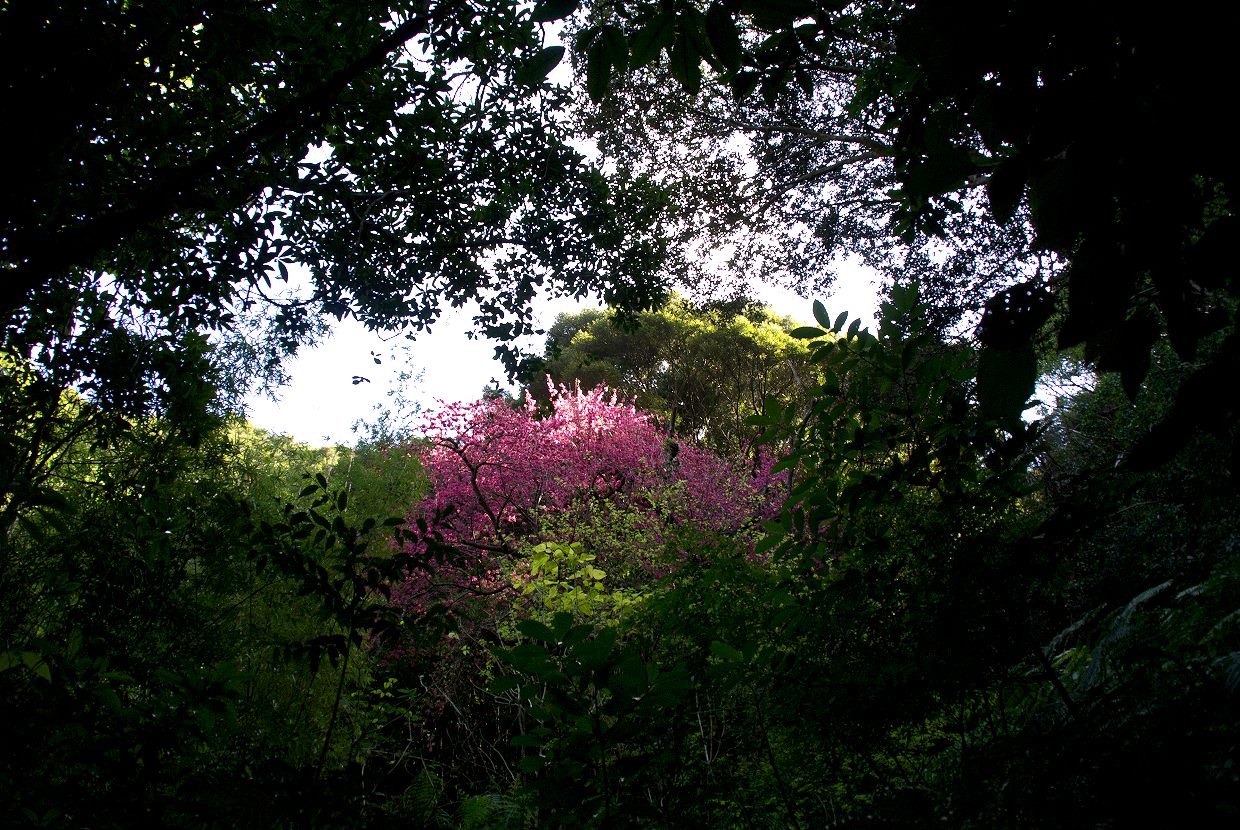d0053930_675335.jpg