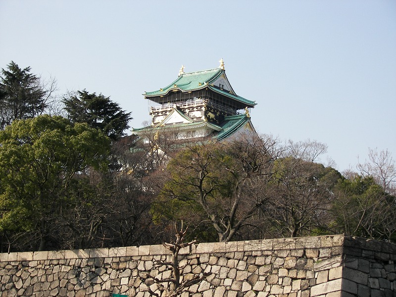 大阪城梅林の梅の花_d0138130_20135826.jpg