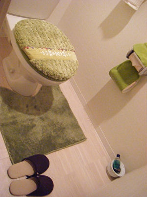 c0069036_23282412.jpg