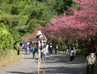 e0041337_23123279.jpg