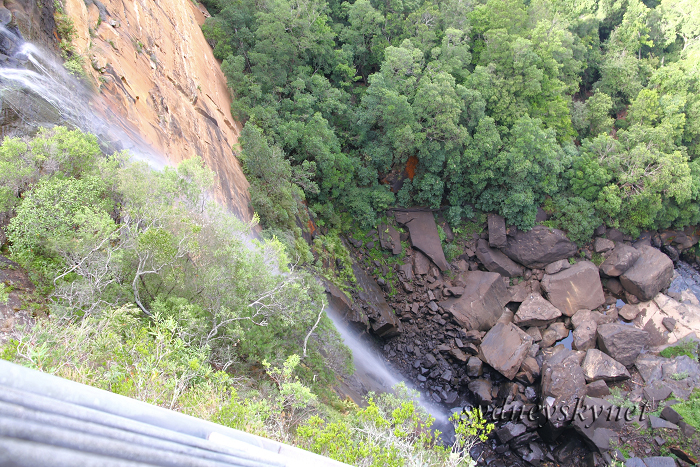 Fitzroy Falls (フィッツロイの滝)_f0084337_20501927.jpg