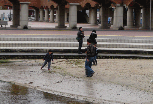 a0056140_19305945.gif