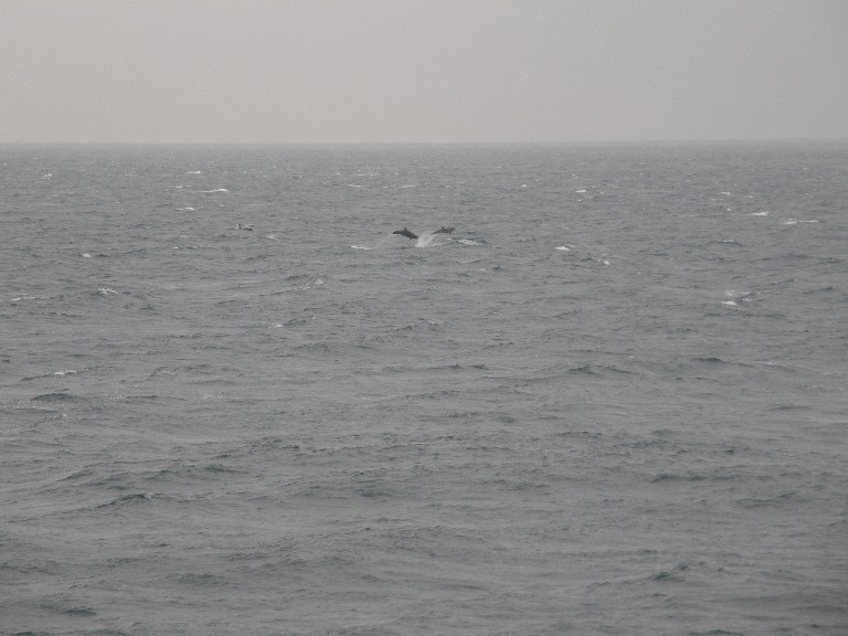 f0128542_33528.jpg
