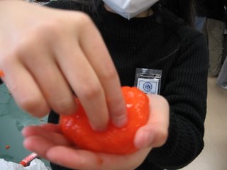 b0007944_167163.jpg