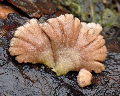 e0035757_16472123.jpg