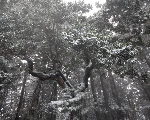e0035757_16474386.jpg