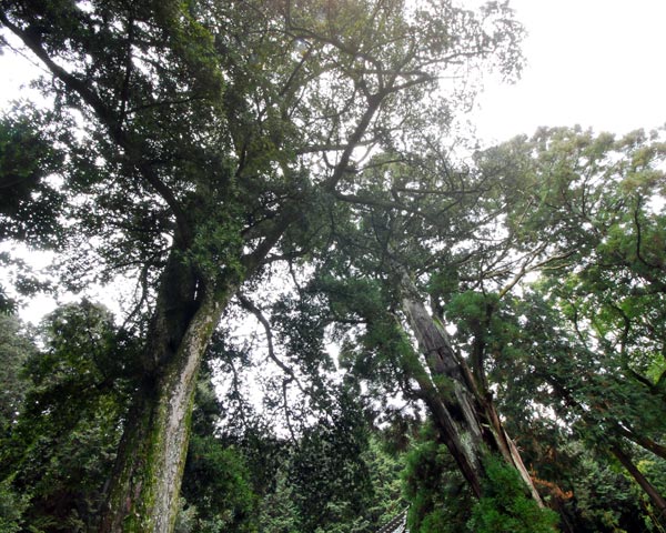 e0035757_16502974.jpg