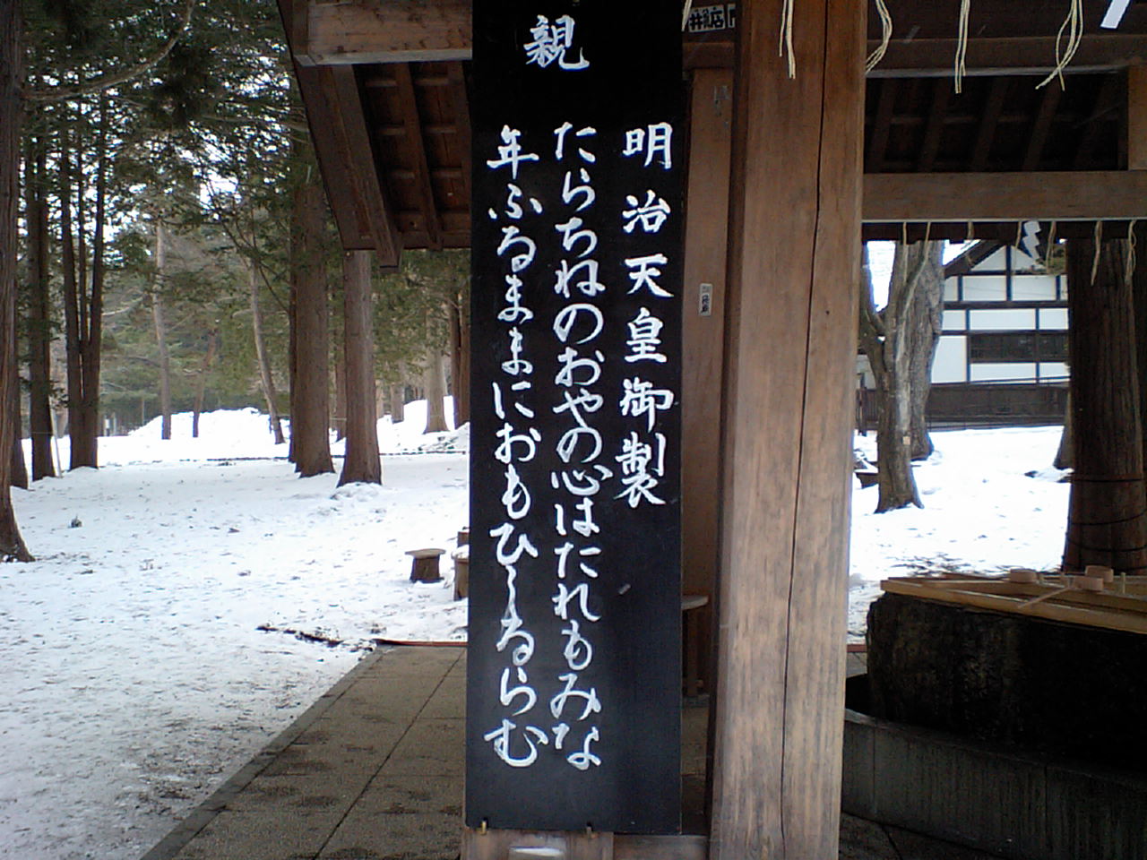 d0098665_17595367.jpg