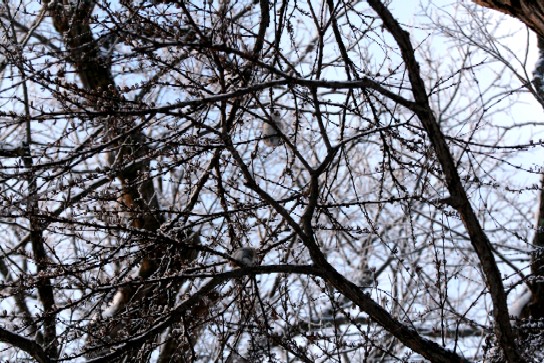 f0000866_1312750.jpg