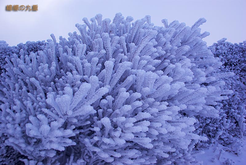 f0173067_152255.jpg