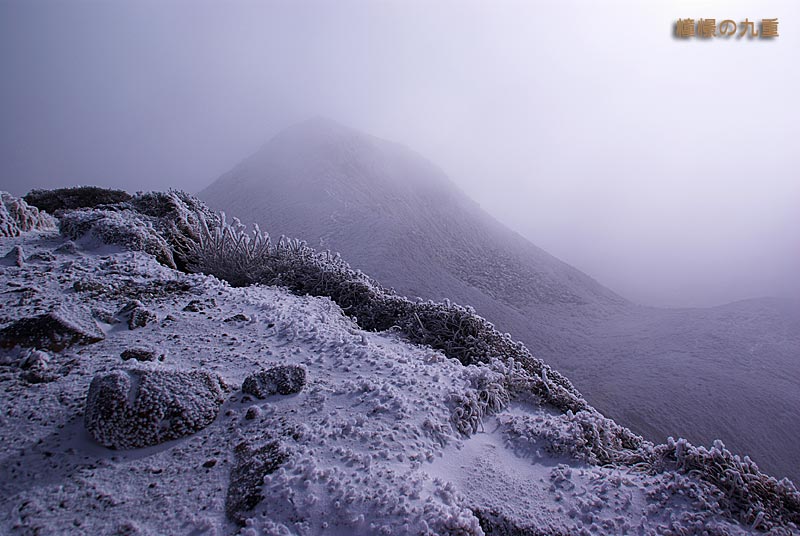 f0173067_17161262.jpg