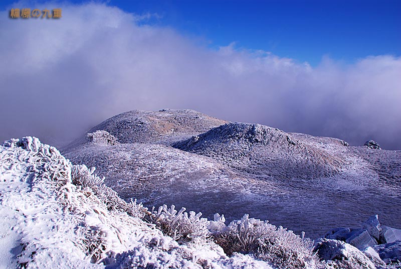 f0173067_17242069.jpg