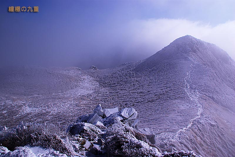 f0173067_1730626.jpg