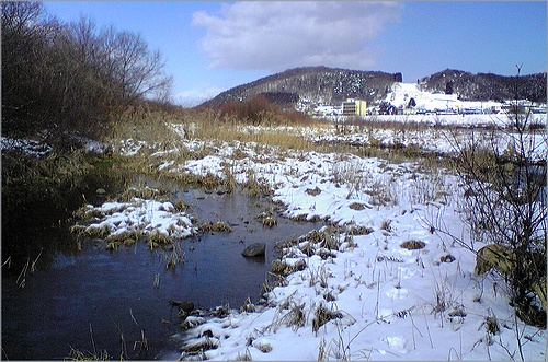 f0088971_18485027.jpg