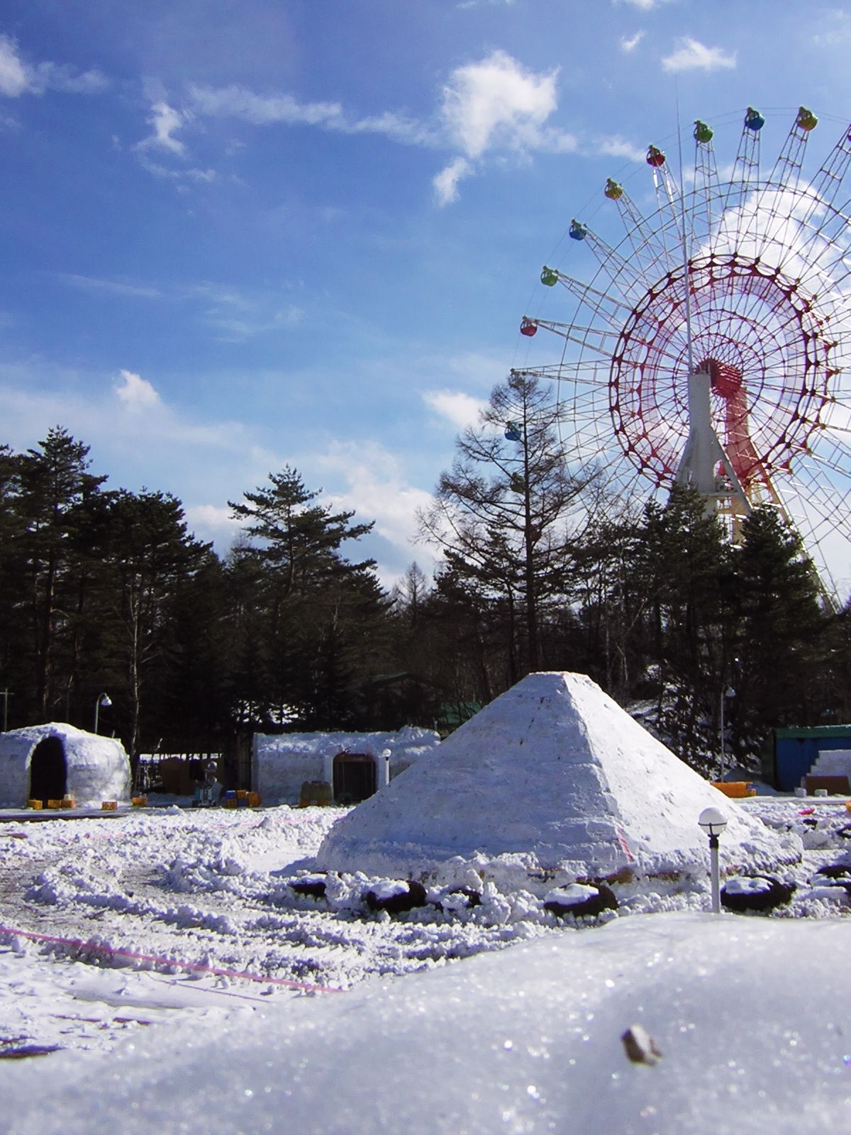 3日前_f0180878_2048469.jpg