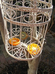 c0117898_14324865.jpg