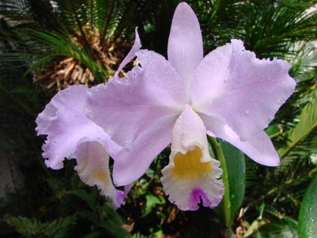 d0007501_5204227.jpg
