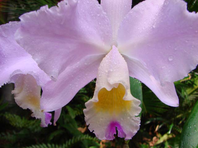 d0007501_5212936.jpg
