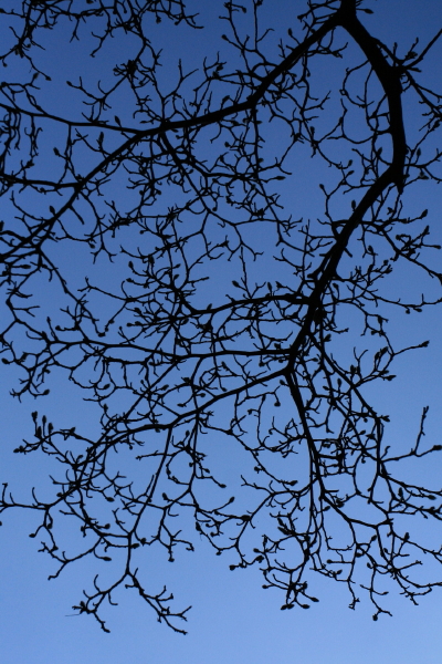 c0183002_211376.jpg
