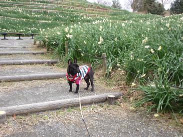 蜻蛉池公園_c0188904_8594170.jpg