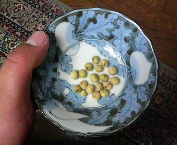 d0149105_20301240.jpg
