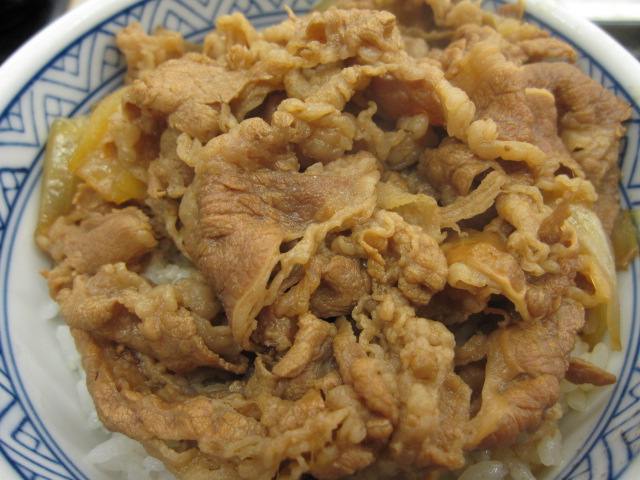 牛丼あれこれ_b0042308_21594229.jpg
