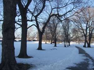 f0102814_9304317.jpg