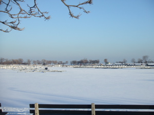 f0102814_9354244.jpg