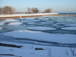 f0102814_9355797.jpg